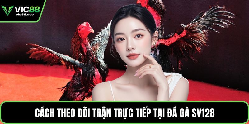 Cách theo dõi trận trực tiếp tại đá gà SV128