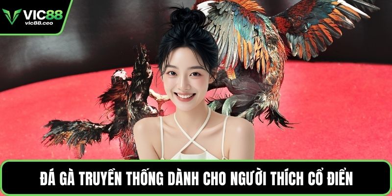 Đá gà truyền thống dành cho người thích cổ điển