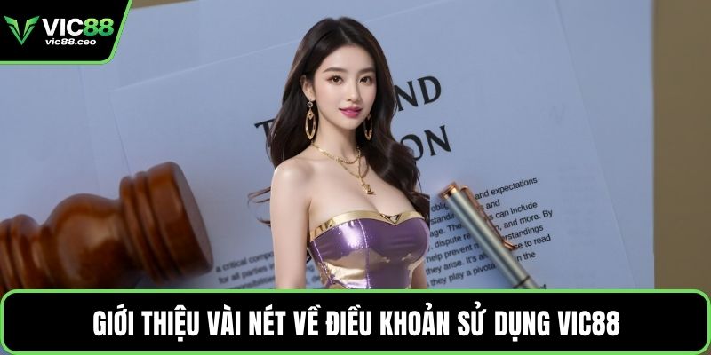 Giới thiệu vài nét về điều khoản sử dụng Vic88