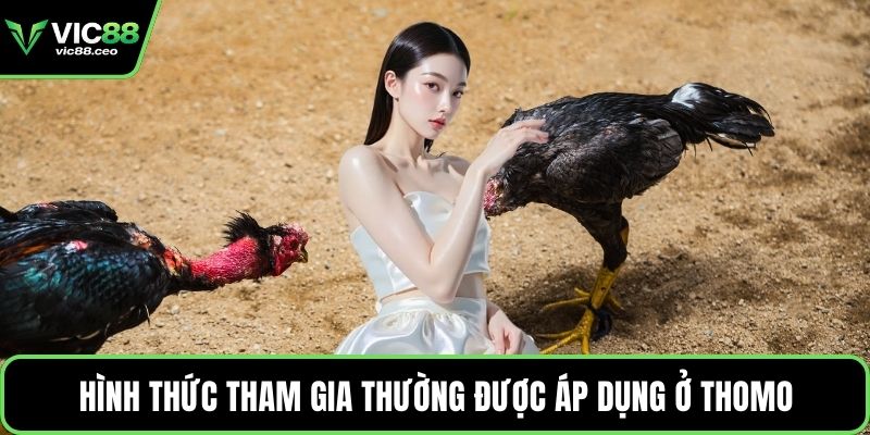 Hình thức tham gia thường được áp dụng ở Thomo