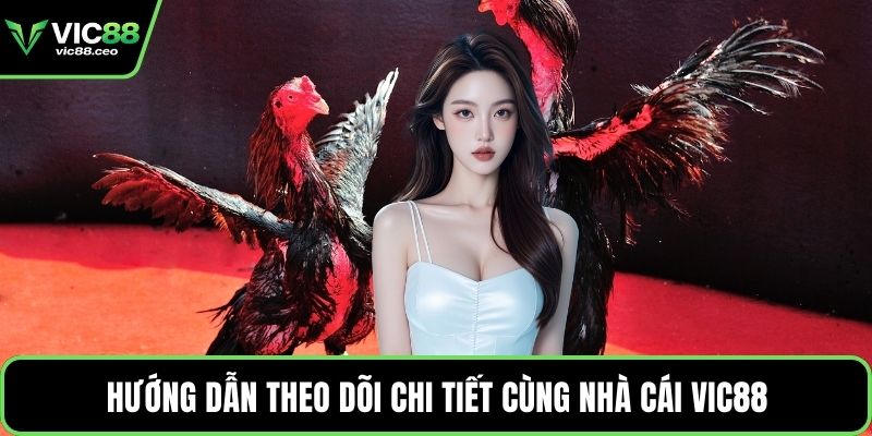 Hướng dẫn theo dõi chi tiết cùng nhà cái Vic88