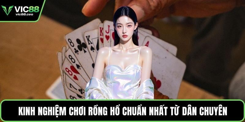 Kinh nghiệm chơi rồng hổ chuẩn nhất từ dân chuyên