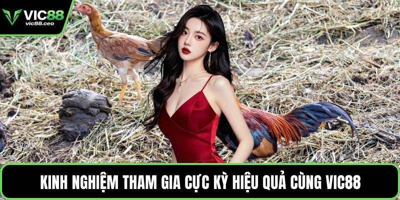 Kinh nghiệm tham gia cực kỳ hiệu quả cùng Vic88